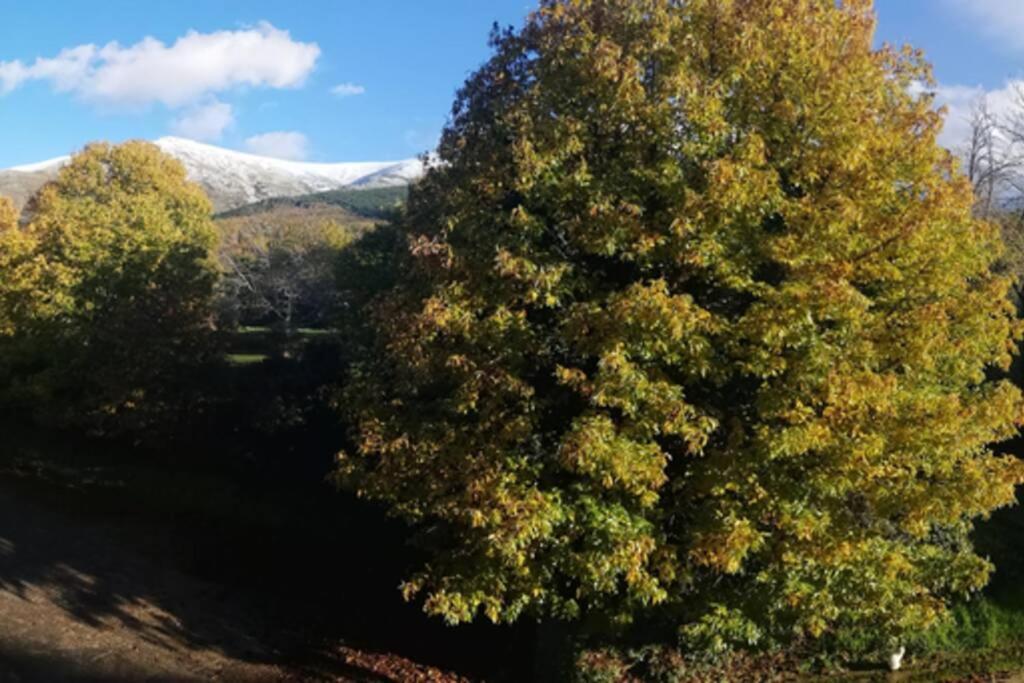 Apartmán Apto. Rural Las Candelas. La Covatilla Candelario Exteriér fotografie